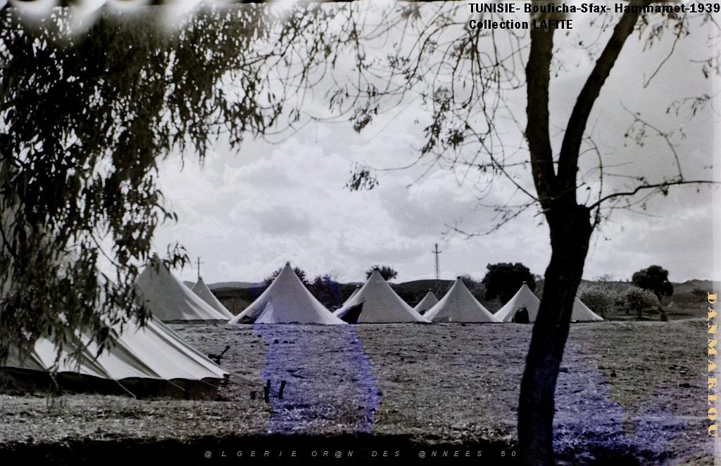 TUNISIE 1939  66 EME  REGIMENT D ARTILLERIE (29).JPG